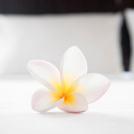 Cielo Del Mar Hotel Никоя Екстериор снимка