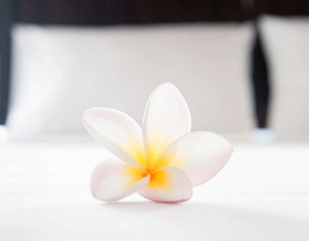 Cielo Del Mar Hotel Никоя Екстериор снимка